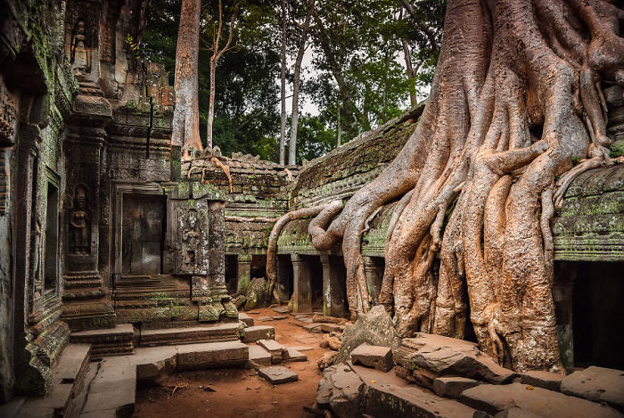 Ta Prohm, Cambodia