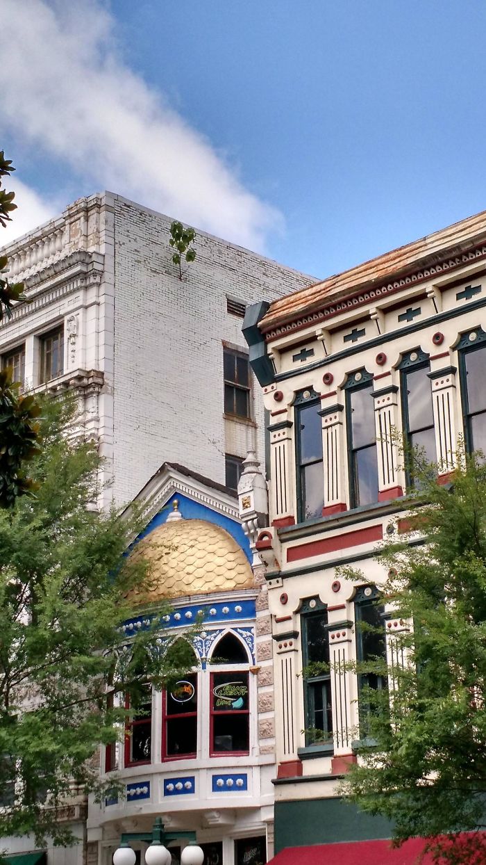 A Tree Is Growing On The Side Of This Building