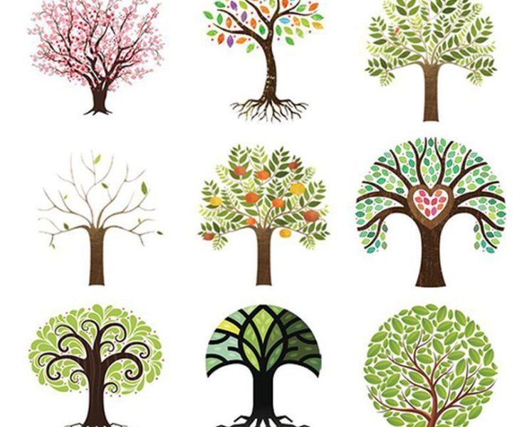 Подивіться на дерева і виберіть те, що подобається вам найбільше, це розповість про ваш тип особистості