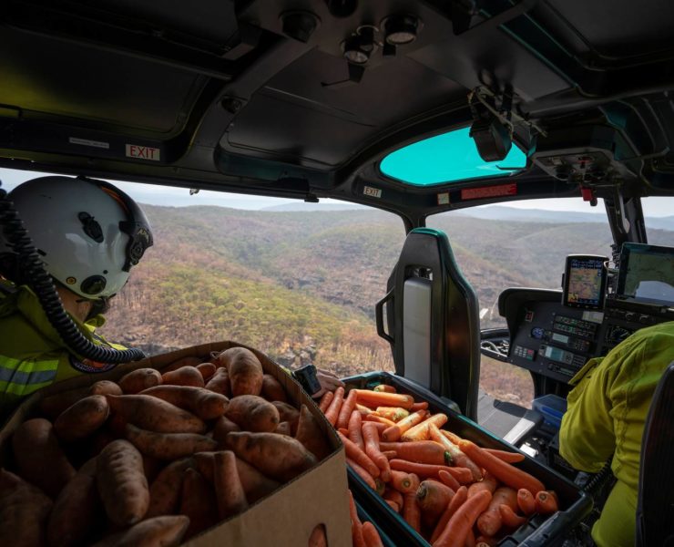 В Австралії з вертольотів скидають тисячі кілограмів овочів, щоб нагодувати тварин після пожеж