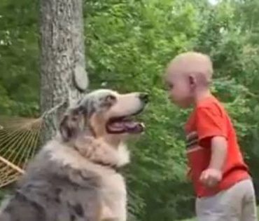 Чоловік помітив, як його собака кинулася у бік малюка. А незабаром він зрозумів, що вона врятувала дитині життя!