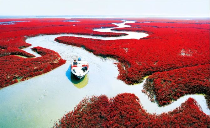 Червоні береги річки Ляохе, Китай