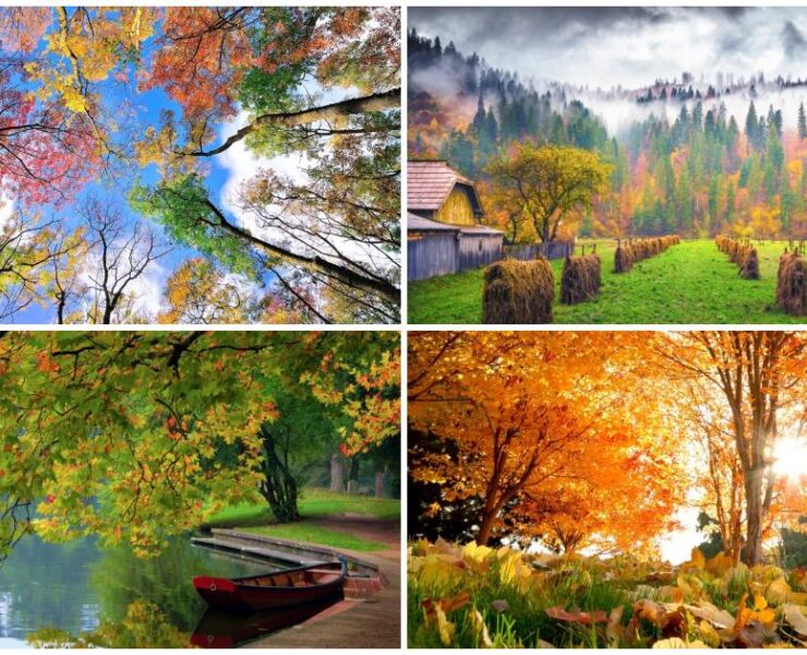 20 фотографій, на яких осінь фантастично прекрасна (фото)