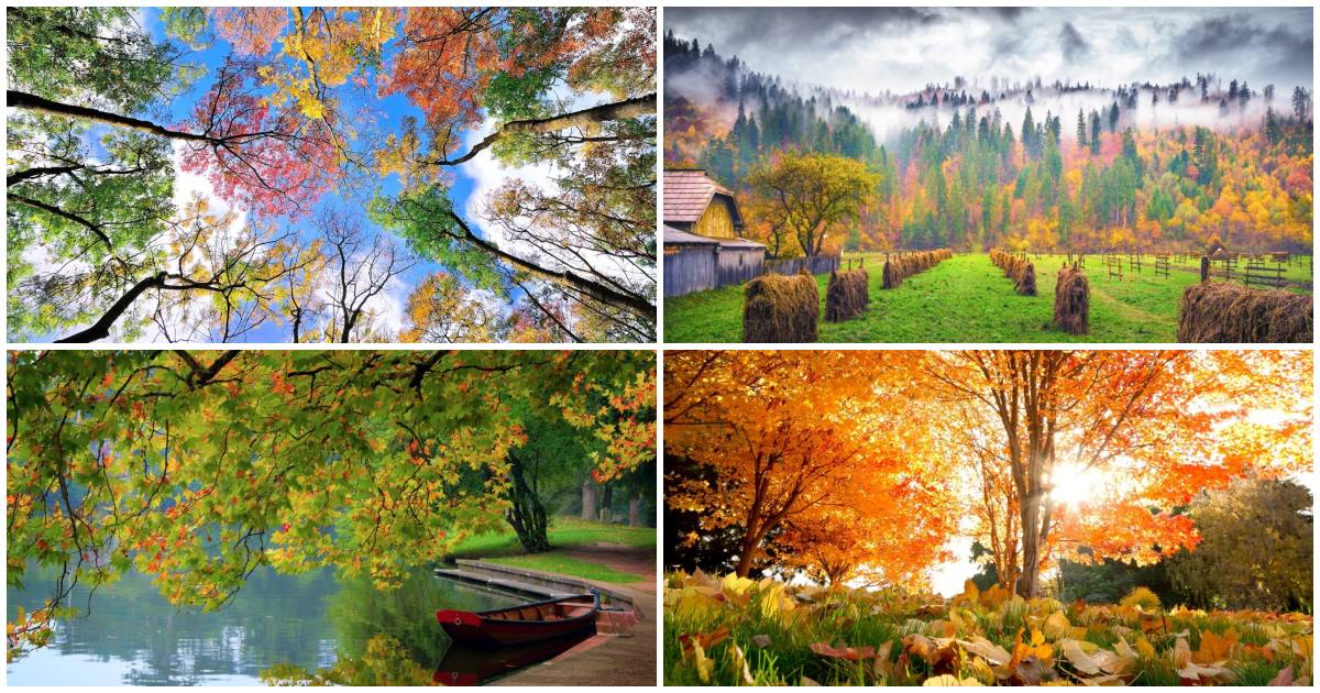20 фотографій, на яких осінь фантастично прекрасна (фото)