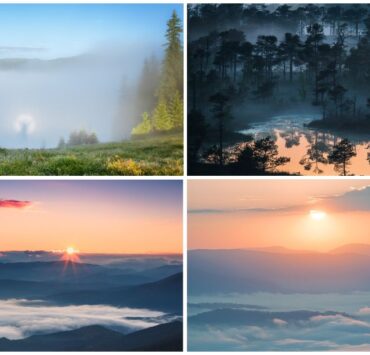 25 дивовижних фотографій туману для тих, хто обожнює осінні туманні ранки (фото)