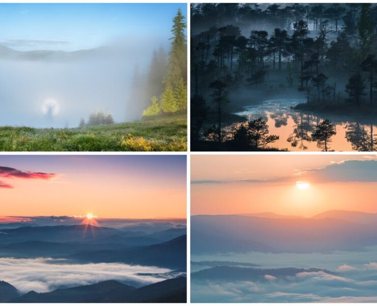 25 дивовижних фотографій туману для тих, хто обожнює осінні туманні ранки (фото)