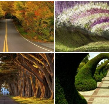 Найкрасивіші природні тунелі та коридори світу (20 фото)