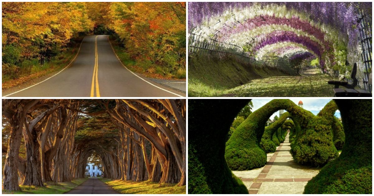 Найкрасивіші природні тунелі та коридори світу (20 фото)