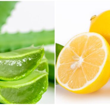 Алое і лимон — фантастичний рецепт для кишківника і печінки