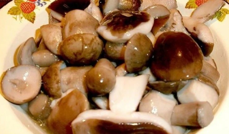 Маринади для грибів: пряно, смачно, надійно