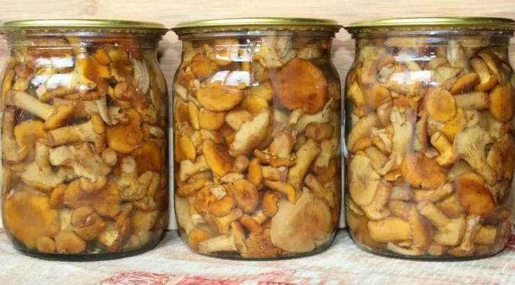 Маринади для грибів: пряно, смачно, надійно